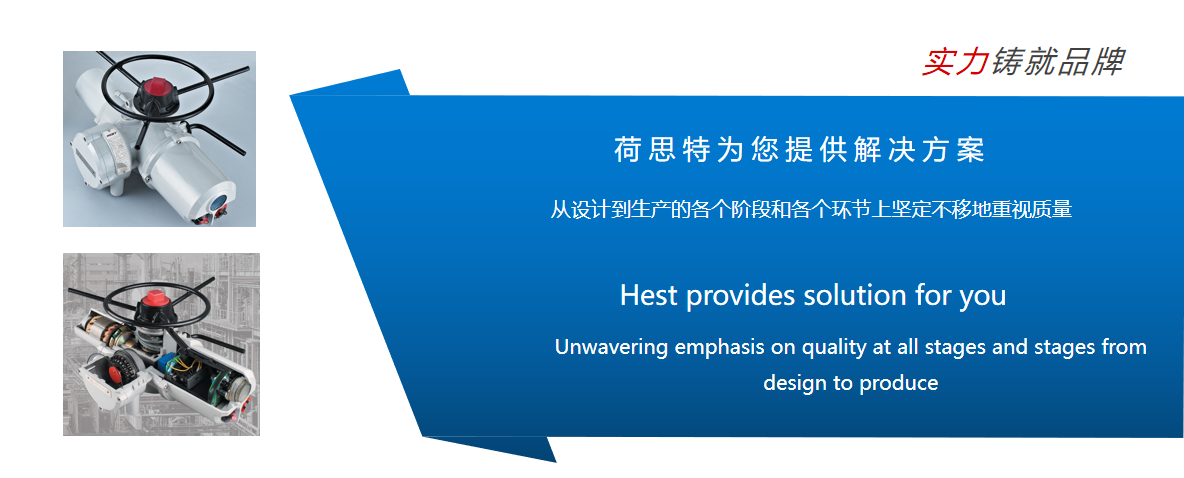 部分回轉(zhuǎn)執(zhí)行機(jī)構(gòu)